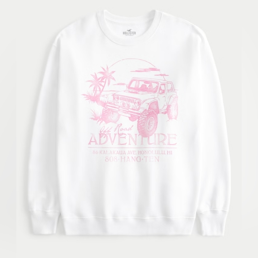 Hollister Sweatshirt